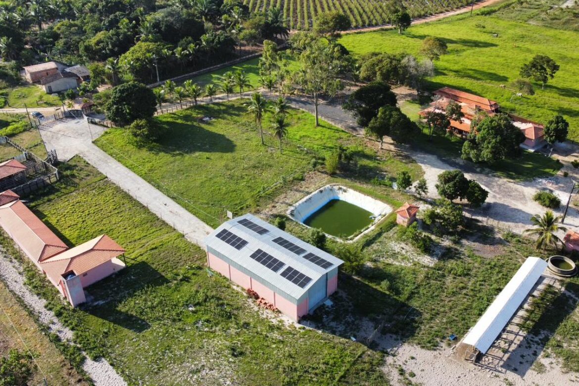 portfolio-gallery-image-2709 WhatsApp Image 2022-12-13 at 16.56.08