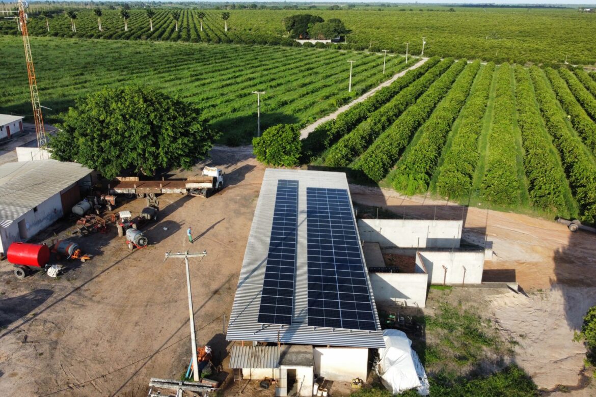 portfolio-gallery-image-2718 dji_fly_20230412_162744_253_1681328079222_photo_optimized